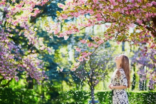 「少し遠出のお出かけをしてみよう」(５月５日〜７月19日生まれの３月の運勢) 漢方女神占い