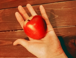 通常のりんごの約半分！　ミニチュアだけど栄養豊富な「Rockit™ apple（ロキット™アップル）」＃Omezaトーク