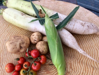 野菜をもっとおいしく、栄養を逃さず食べる方法を実践！ #Omezaトーク