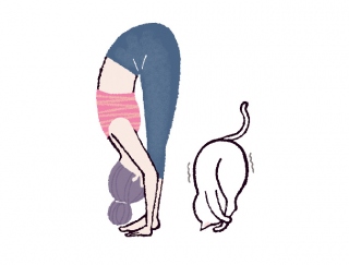 １日の終わりに脚の疲れをスッキリ解消！「足と手のポーズ」 #今日のねこヨガ