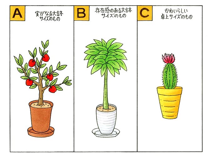 実がなる観葉植物、背の高い緑の観葉植物、サボテンのイラスト