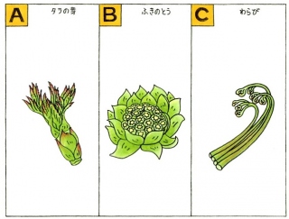 【心理テスト】山菜ときいて、パッと思いつくのは次のうちどれ？