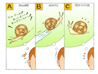 【心理テスト】あなたにとってのカタツムリの印象は？