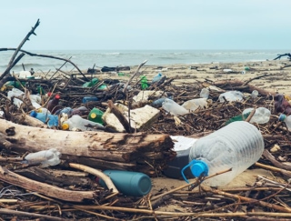 私たちの暮らしが地球を脅かす！“マイクロプラスチック”の原因・影響・対策