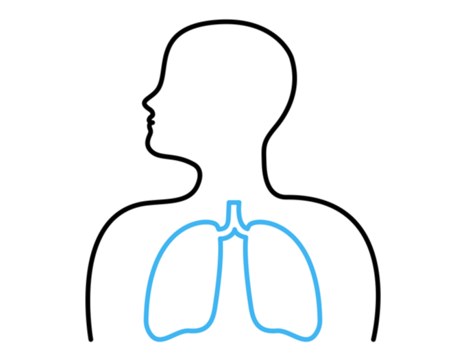 激しい運動をしている人ほど肺が健康