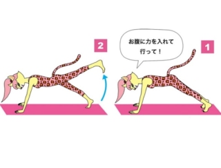 テレビを見ながらできる！ お腹やせに効く「プランク脚上げ」エクサ
