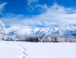 人生に一度は体験しておきたい！ 真冬の北海道、世界遺産「知床」の「流氷ウォーク」