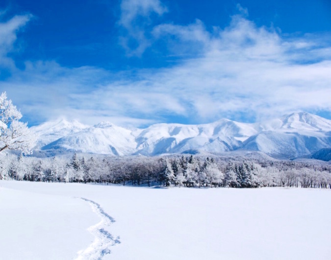 雪一面の北海道の景色