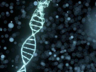 DNAのコンピュータデジタル画像
