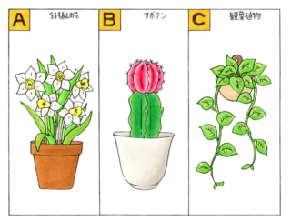 【心理テスト】部屋の中に植物を飾ります。あなたが選んだ植物は何？