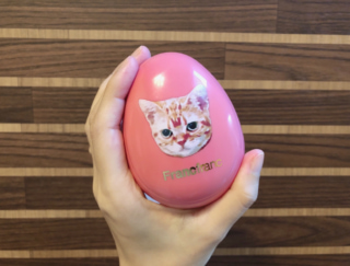 SNSで髪がサラサラになると話題！　フランフランの500円ヘアブラシ♡　#週末よもやま