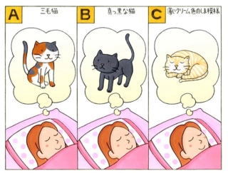 【心理テスト】夢の中に１匹の猫が出てきました。その猫はどんな柄だった？