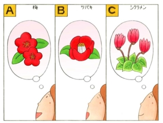 【心理テスト】あなたを花にたとえるとしたら、次のうちどれ？
