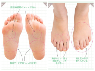 足指の形画像