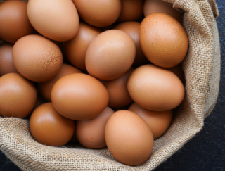 卵は１日に何個食べるのがベスト？ 海外研究から明らかになった意外なメリットとは