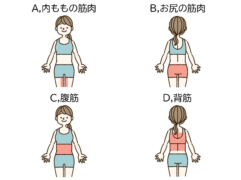 ダイエットチョイス！】O脚を改善するために、鍛えると効果的な筋肉は