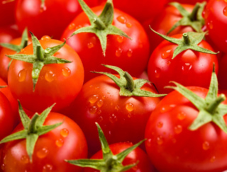 トマトに含まれている「リコピン」って、何？～ダイエットに役立つ栄養クイズ～