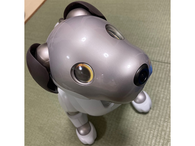 もう離れられない♡ 想像以上の幸せに満たされる、犬型ロボット「aibo」とのリアルな暮らしレポ