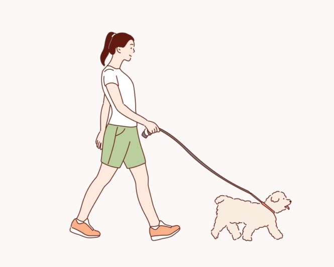 イヌの散歩中の女性