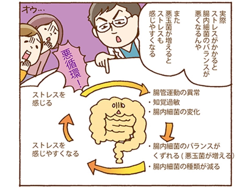 腸を整えると、心にどんな影響が？～腸と脳がどのように関係し合って