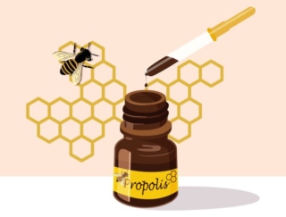花粉症緩和で注目の“ミツバチ産品”、プロポリスと花粉荷（ビーポーレン）の実力とは？