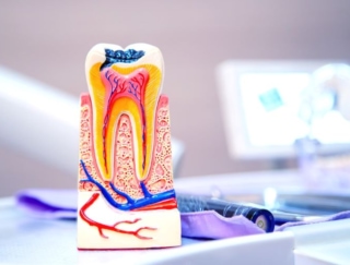 歯周病は改善できる？ 歯科クリニックではどんな治療や予防ケアができるの？