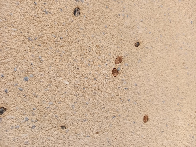 コーヒー豆が埋められた壁