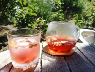 果実がごろごろ入った、食べる紅茶♡ ティートリコの紅茶で癒され、リフレッシュ！#Omezaトーク