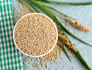 アンチエイジング効果大。世界五大穀物の「ソルガム」に注目！ 食から生活習慣を整えよう