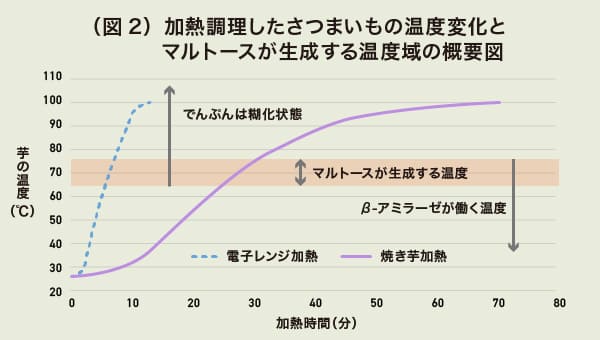 出典：j-stage「『焼き芋』の甘さの秘密」 ※ 上記をもとにVEGEDAY編集部にて作成