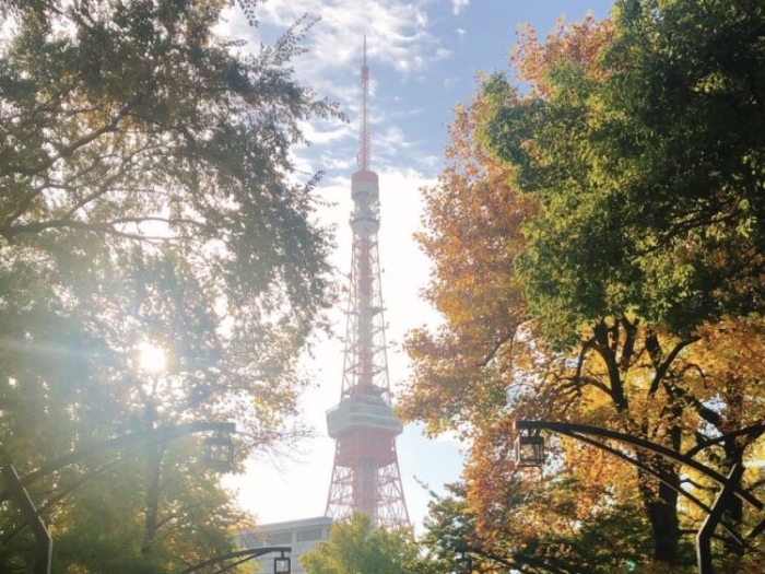 東京タワーが見える公園