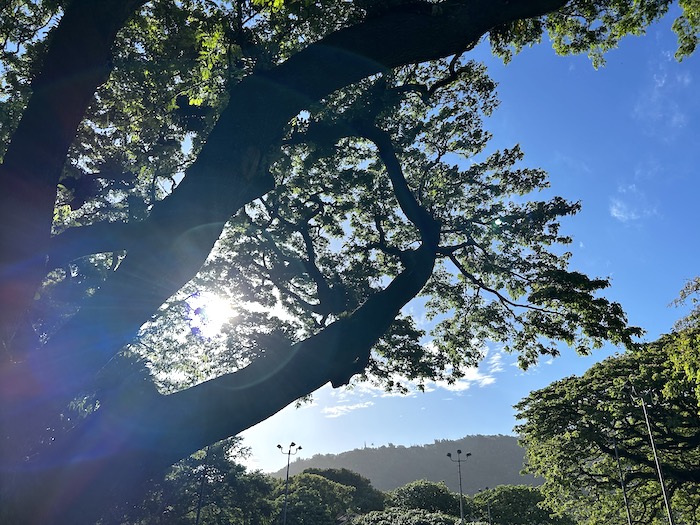 ハワイの青空