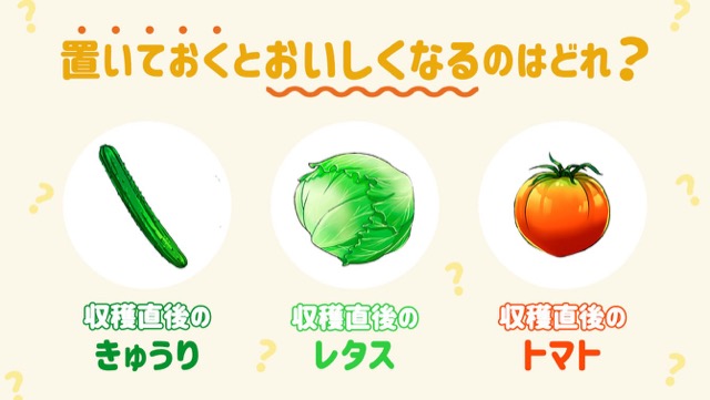 野菜の保存＆おいしさ