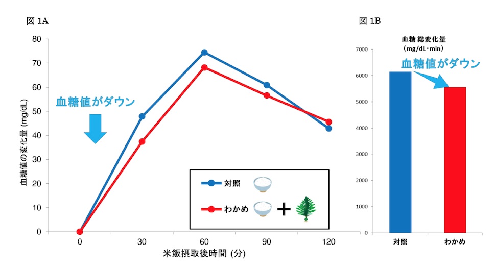 わかめの摂取による血糖値上昇抑制効果のグラフ