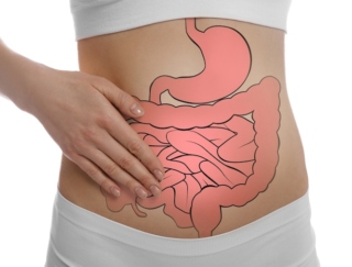 胃と腸は一心同体。”胃活”で消化力を高めると腸まで健康＆ダイエットにも効果あり！ 必要な栄養素２つ