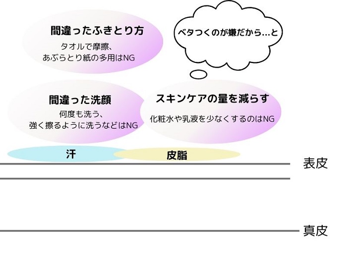 スキンケア、肌のイメージ図