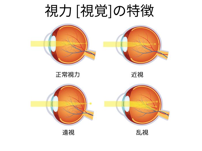 それぞれの目の特徴がわかる図