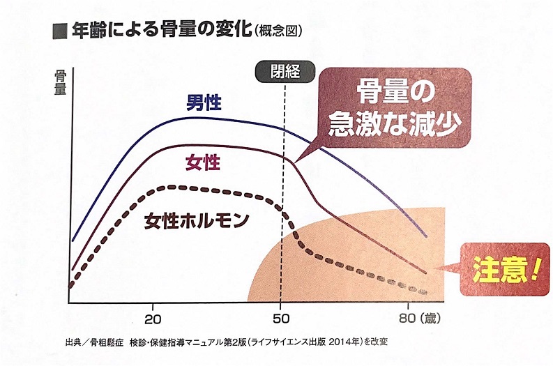 「骨こつケア」ガイドブックより転載 ALT）年齢による骨量の変化のグラフ 