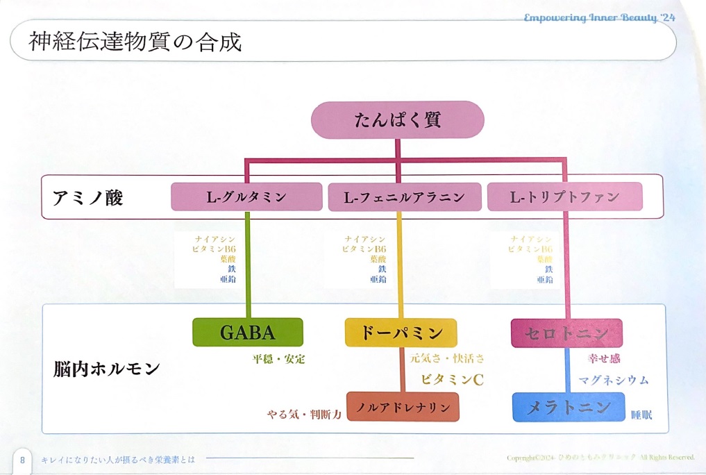 神経伝達物質の合成