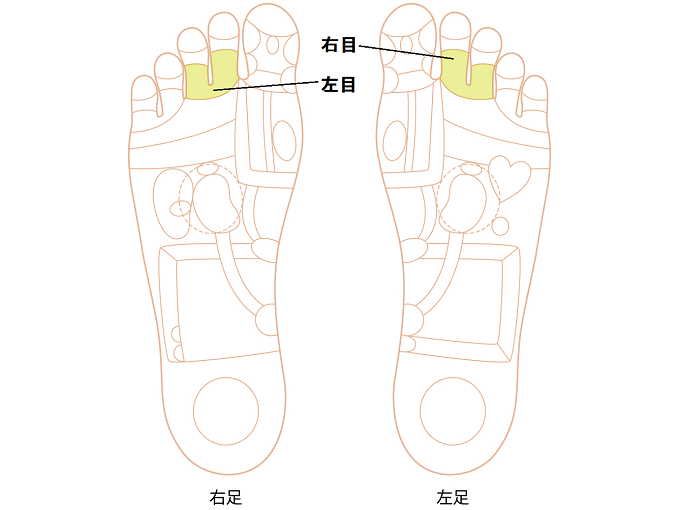 目のゾーン画像