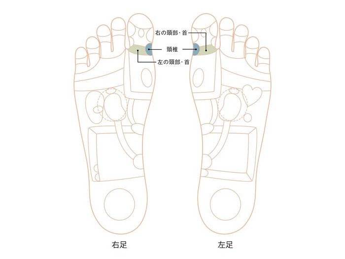 首ゾーン画像