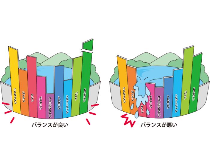  <ALT>アミノ酸の種類とバランス図 