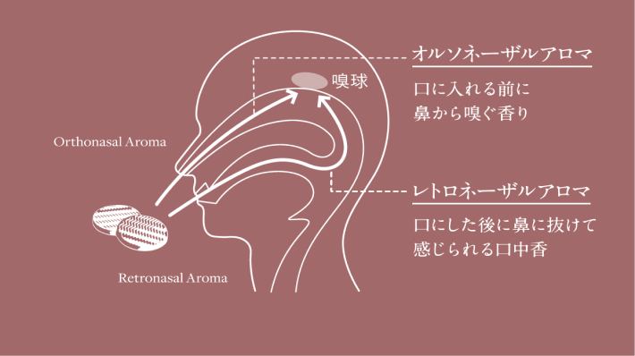 香りのしくみ