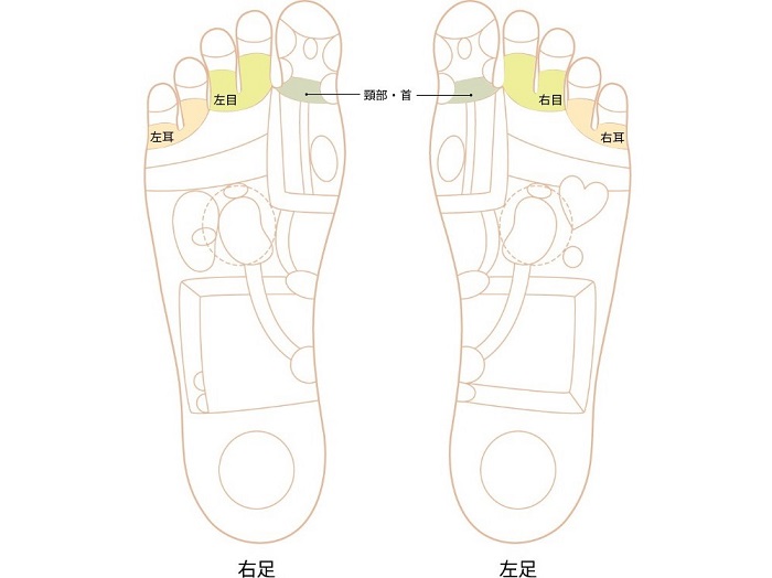 首、耳、目のゾーン