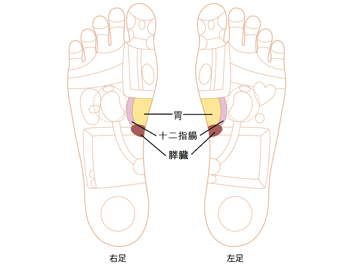 胃などのゾーン画像