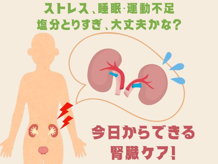 5人に1人が「腎臓」に不調! 20〜30代の予備軍が増加。今日からできる腎臓を労わる健康習慣 腎臓を労ろうのイメージイラスト