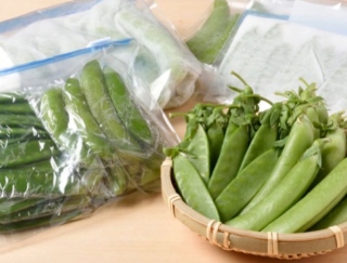 さやえんどうの鮮度の見分け方と、おいしさを保つ保存のコツとは