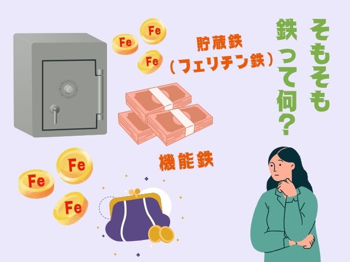 貯蔵鉄と機能鉄のイラストイメージ