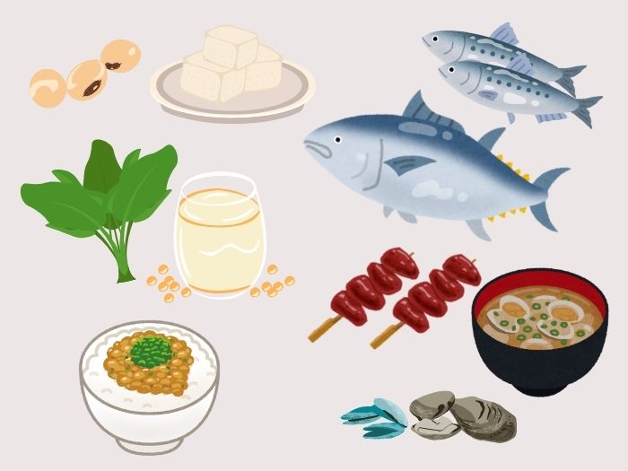 食材、非ヘム鉄とヘム鉄イラスト