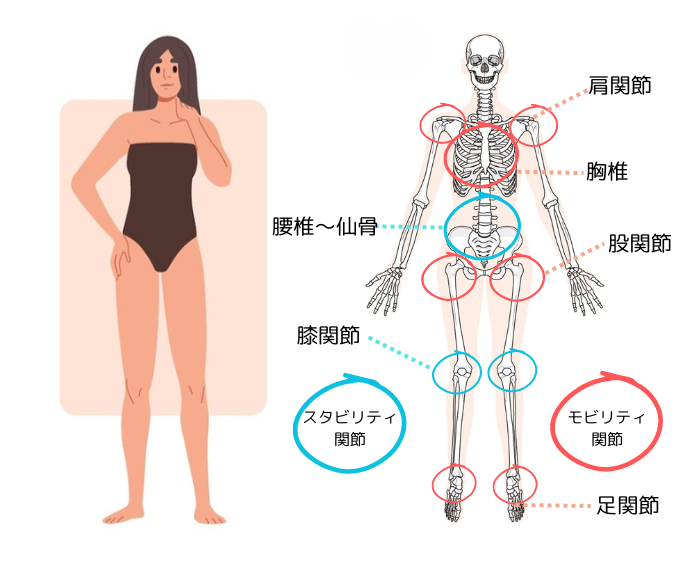 スタビリティとモビリティの説明図